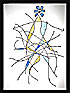 ENTWICKLUNG