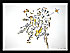 GEDANKENEXPLOSION