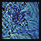 FOSSIL IN BLAU