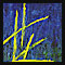 GELBE LINIEN