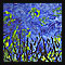 VAN GOGH